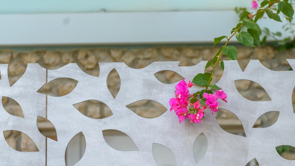 Apartment Mair دوبروفينك الغرفة الصورة